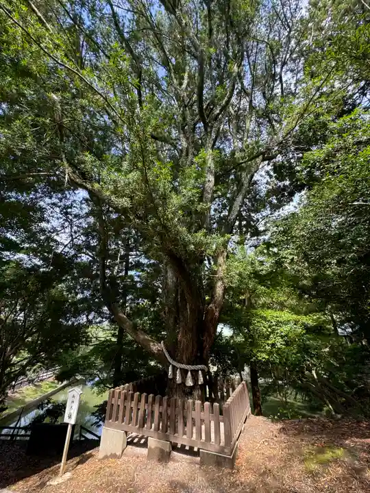 安房神社(千葉県)