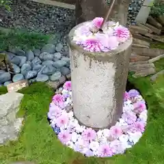 行田八幡神社の庭園