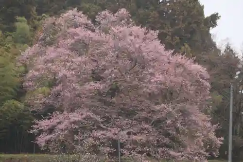 長屋神社の自然