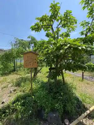 橋寺 放生院の{uncategorized: "未分類", other: "その他", undefined: "問題あり", building: "その他建物", grave: "お墓", sacred_gate: "鳥居", guardian: "狛犬", statue: "像", buddha: "仏像", history: "歴史", nature: "自然", garden: "庭園", animal: "動物", pagoda: "塔", temizu: "手水舎", mountain_gate: "山門・神門", sanctuary: "本殿・本堂", subordinate: "末社・摂社", art: "芸術", scenery: "景色", jizo: "地蔵", ema: "絵馬", goshuin: "御朱印", omikuji: "おみくじ", items: "授与品その他", amulet: "お守り", goshuincho: "御朱印帳", eats: "食事", festival: "お祭り", votive_dance: "神楽", shichigosan: "七五三参", wedding: "結婚式", experience: "体験その他", initially: "初詣", around: "周辺", anti_infection: "感染症対策"}
