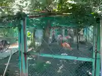 瀧水寺(千葉県)