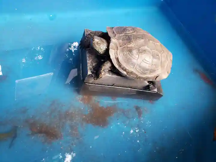 下谷神社(東京都)