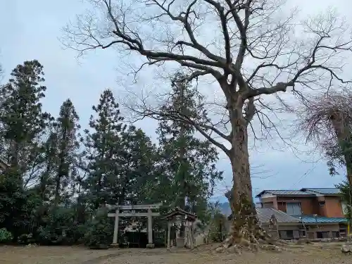 野巻椋神社のその他建物