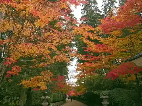 壇上伽藍の自然