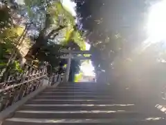 渋谷氷川神社の鳥居