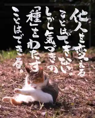 専念寺(大阪府)