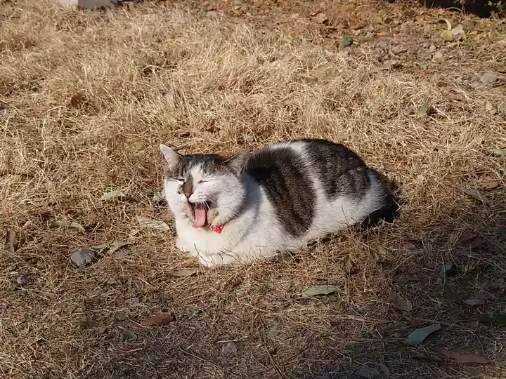 三嶋神社(群馬県)