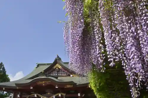 笠間稲荷神社の建物その他