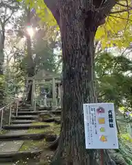 天台宗　長窪山　正覚寺の像