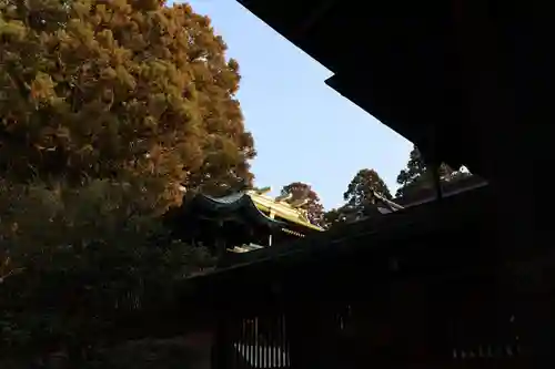 宮地嶽神社(福岡県)