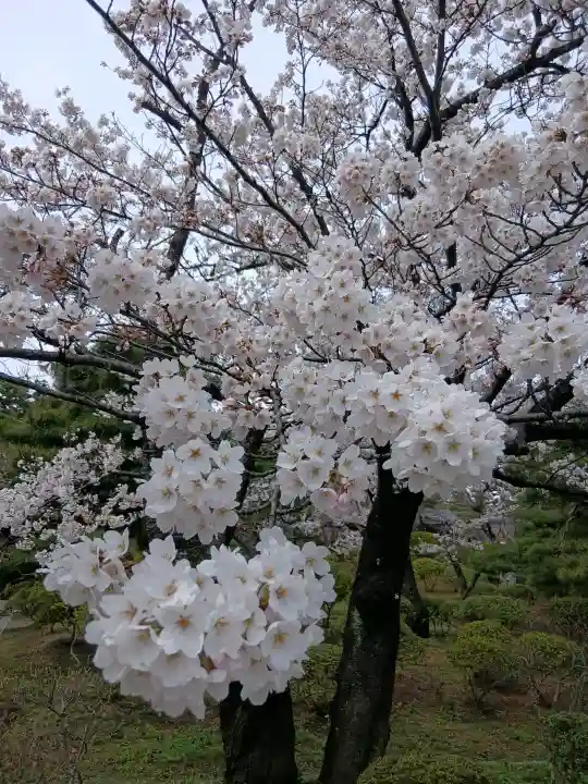 愛宕神社の{uncategorized: "未分類", other: "その他", undefined: "問題あり", building: "その他建物", grave: "お墓", sacred_gate: "鳥居", guardian: "狛犬", statue: "像", buddha: "仏像", history: "歴史", nature: "自然", garden: "庭園", animal: "動物", pagoda: "塔", temizu: "手水舎", mountain_gate: "山門・神門", sanctuary: "本殿・本堂", subordinate: "末社・摂社", art: "芸術", scenery: "景色", jizo: "地蔵", ema: "絵馬", goshuin: "御朱印", omikuji: "おみくじ", items: "授与品その他", amulet: "お守り", goshuincho: "御朱印帳", eats: "食事", festival: "お祭り", votive_dance: "神楽", shichigosan: "七五三参", wedding: "結婚式", experience: "体験その他", initially: "初詣", around: "周辺", anti_infection: "感染症対策"}