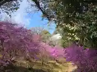伊和志豆神社(廣田神社境内摂社)(兵庫県)