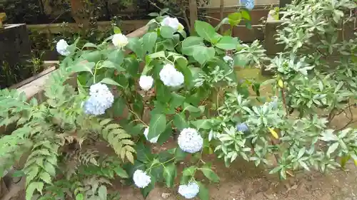 小野照崎神社の庭園