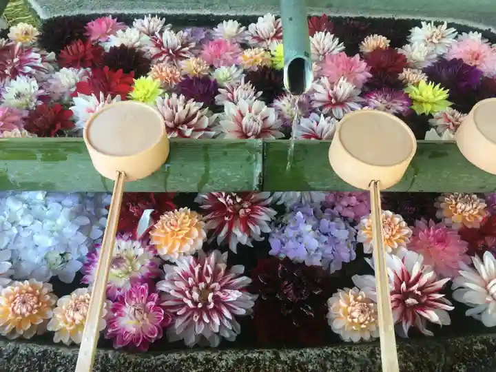 岡寺(龍蓋寺)の手水舎