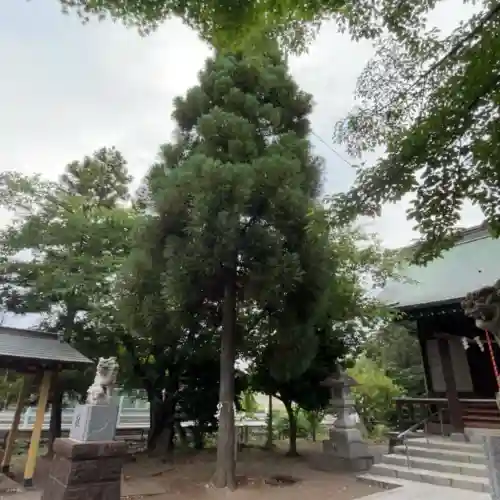 大沼神社(神奈川県)