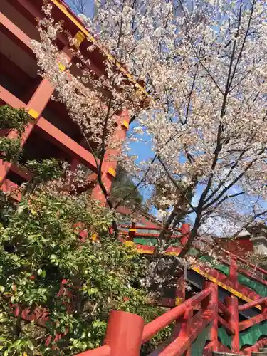 祐徳稲荷神社(佐賀県)