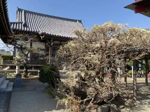 等覚院（藤巻寺）(神奈川県)
