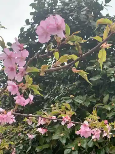 鹿嶋神社の自然