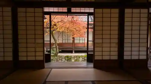 興聖寺(京都府)