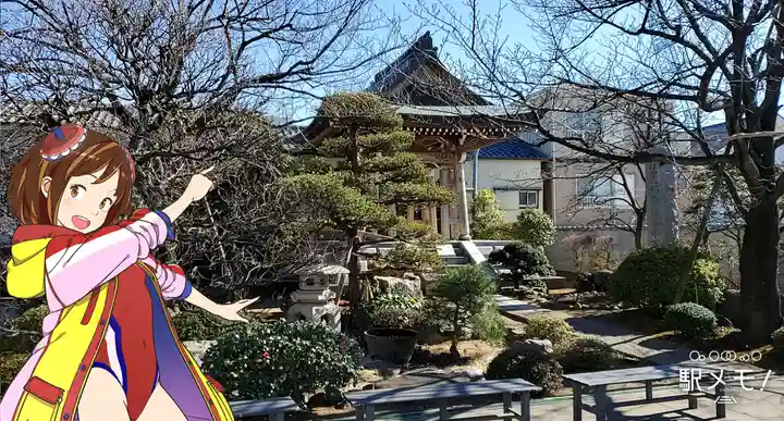 南蔵院のその他建物