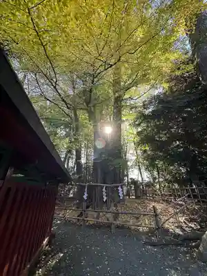 大國魂神社(東京都)