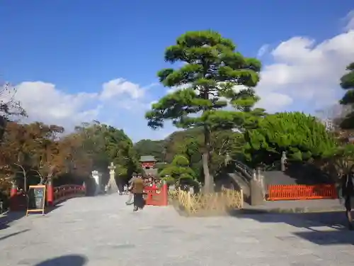 鶴岡八幡宮の庭園