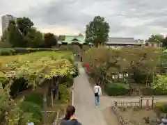 亀戸天神社の景色