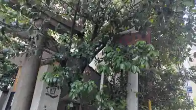 道祖神社(京都府)