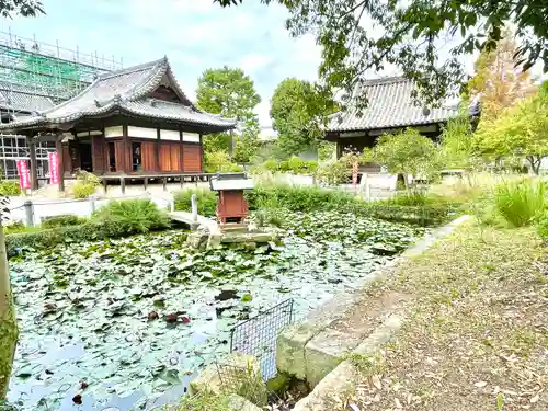鶴林寺(兵庫県)