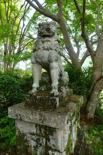 吉水神社の狛犬