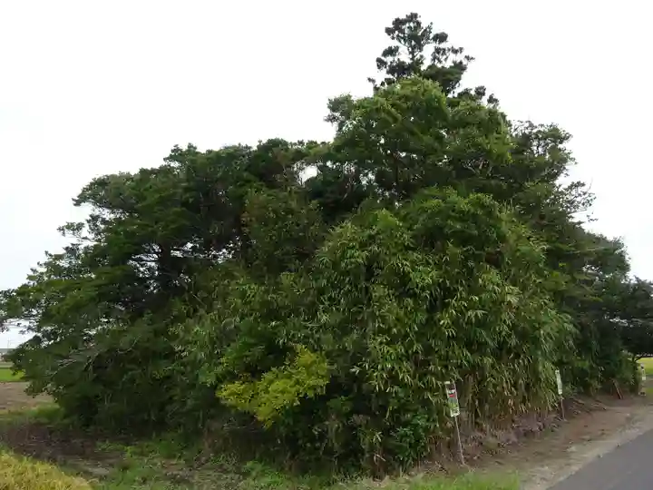 若宮八幡神社(千葉県)
