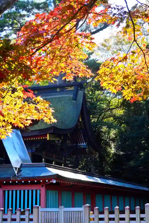 鹿島神宮(茨城県)