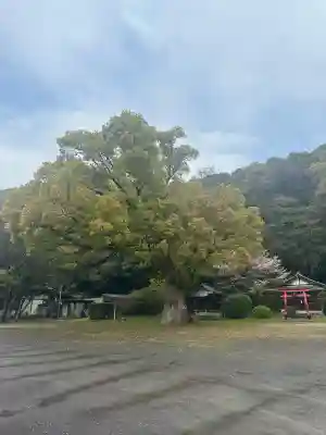 琴彈八幡宮(香川県)