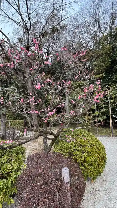 久我神社(賀茂別雷神社摂社)(京都府)