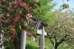 大六天麻王神社の鳥居