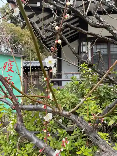 田蓑神社の自然