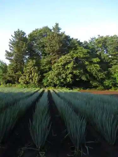 尾崎天神宮(千葉県)