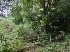 賀茂別雷神社(栃木県)