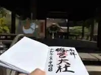 梅宮大社の御朱印