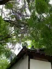 塩竈神社の自然