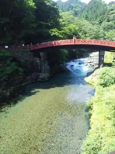 日光二荒山神社の自然