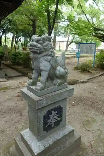 新屋坐天照御魂神社の狛犬