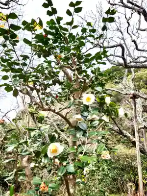 瑞泉寺(神奈川県)