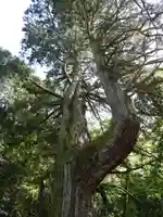 蓮華寺(滋賀県)