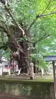 野木神社のその他建物
