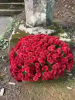 大宮温泉神社の自然