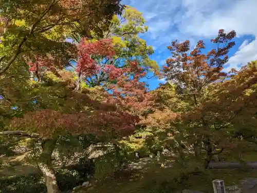  智積院(京都府)