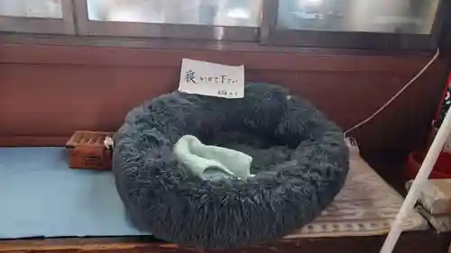 甲斐善光寺(山梨県)