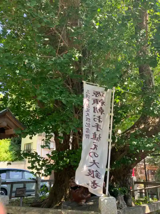 海南神社(神奈川県)