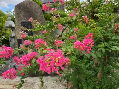 太平寺(大阪府)